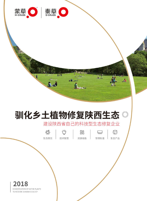 秦草品牌宣传册