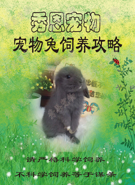饲养手册