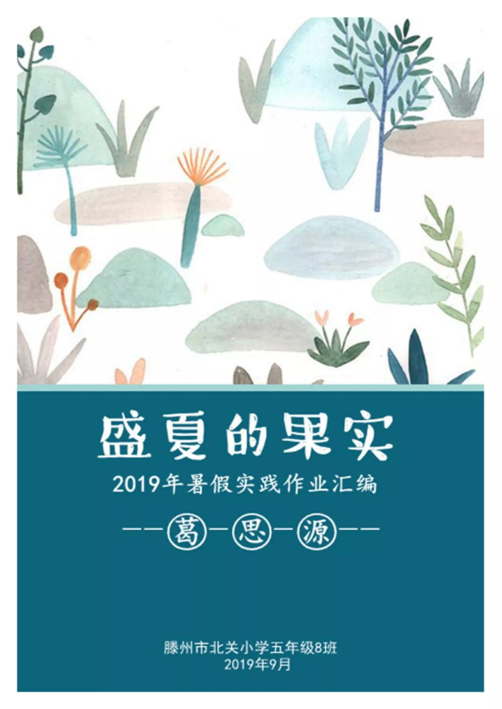 盛夏的果实—葛思源2019年暑假实践作业