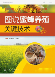 蜜蜂养殖关键技术