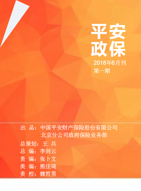 《平安政保》 第01期