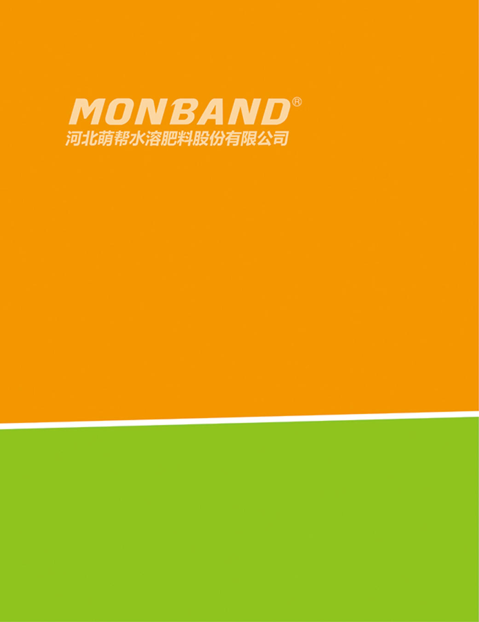 萌帮股份2018产品推广手册