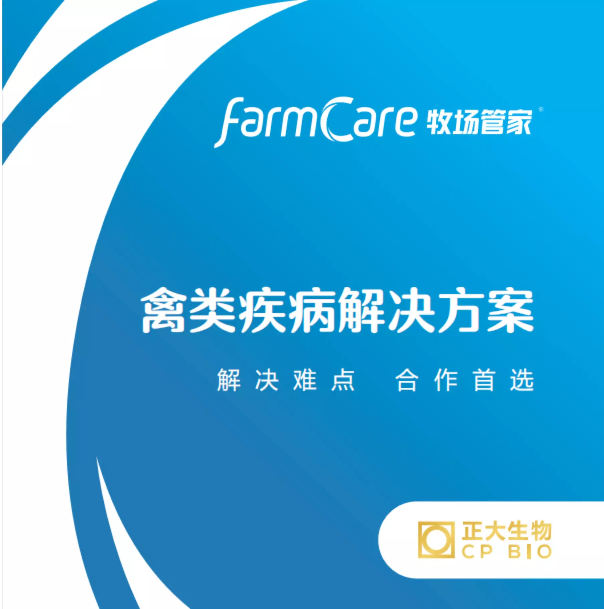 禽类疾病解决方案