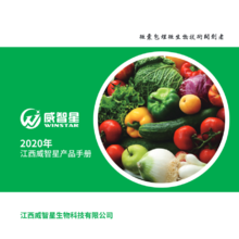 江西威智星2020年产品手册