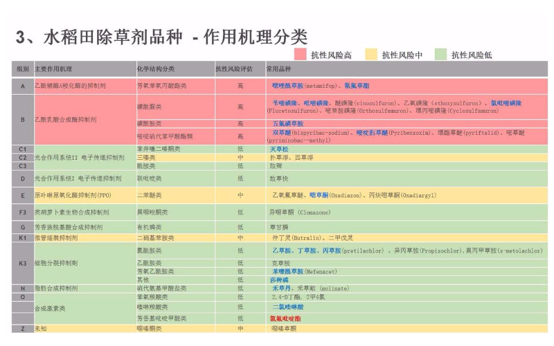 水稻除草剂作用机理