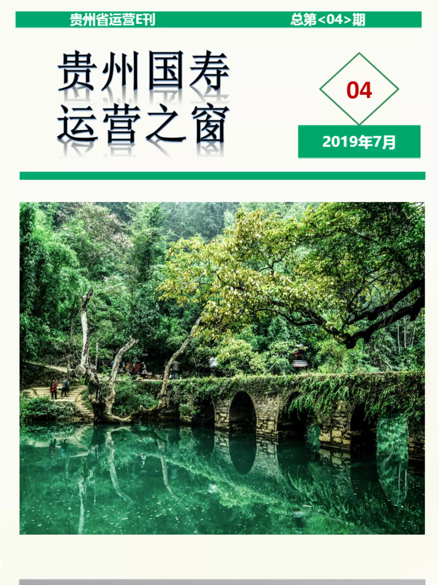 贵州国寿运营之窗-2019年总第4期