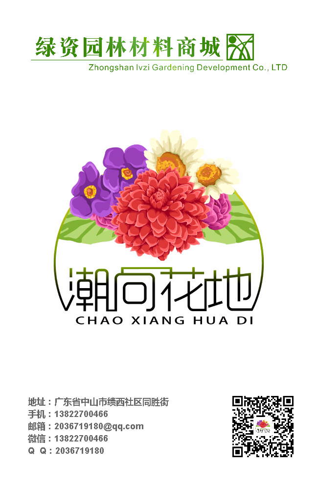 潮向花地