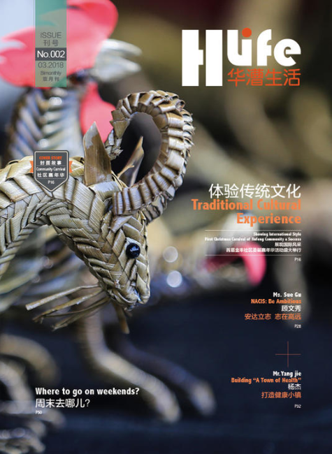 HLife华漕生活No.002