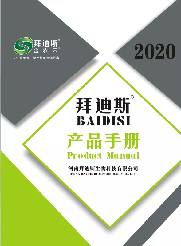 2020拜迪斯电子画册