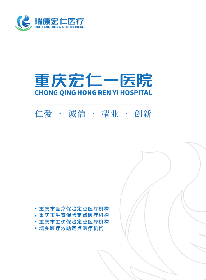重庆宏仁一医院 (电子书)