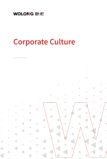 Wolong Holding Group Corporate Culture Handbook