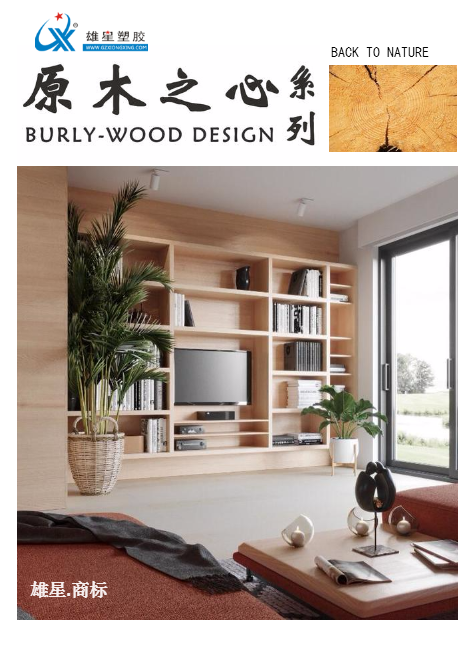 雄星木纹电子画册