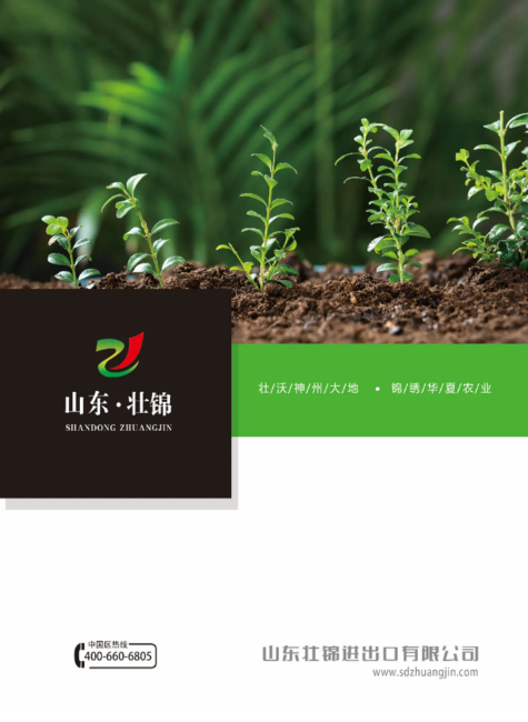 山东壮锦进出口有限公司