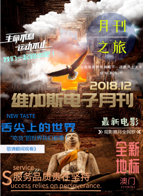 维加斯电子月刊12