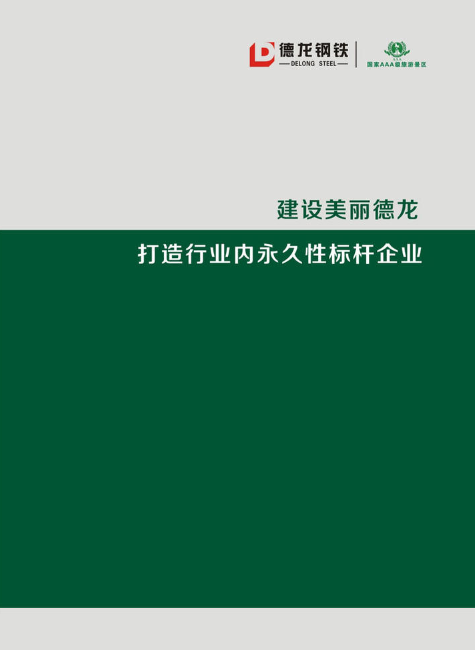 德龙钢铁2018宣传册