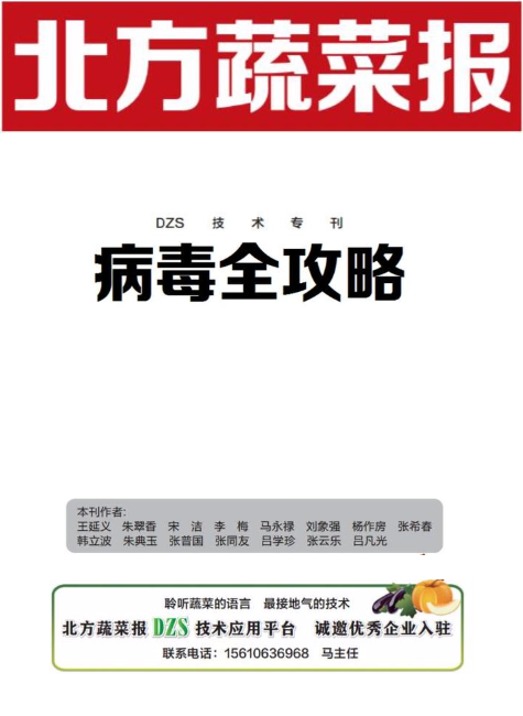 DZS技术--病毒全攻略