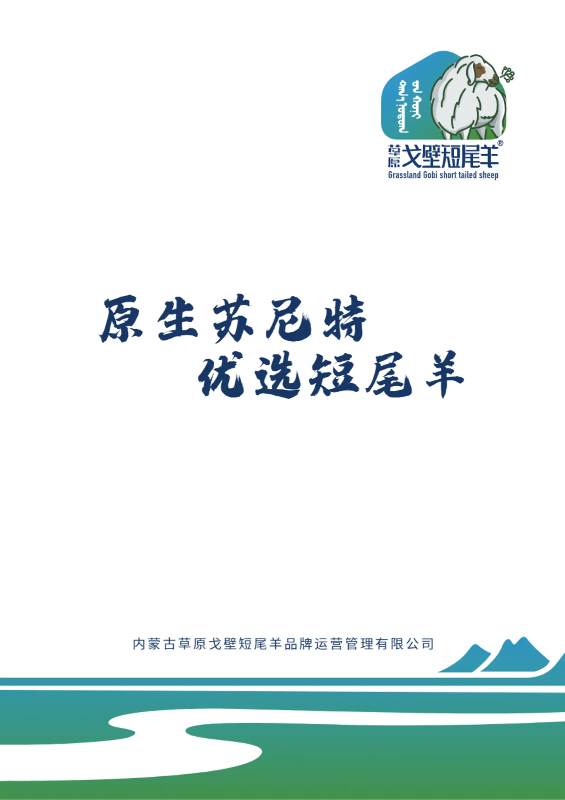 草原戈壁短尾羊定制礼宣传册