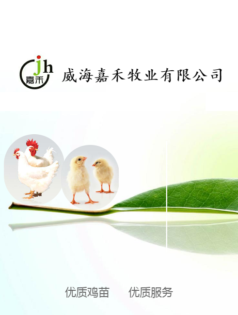 嘉禾牧业企业宣传内刊