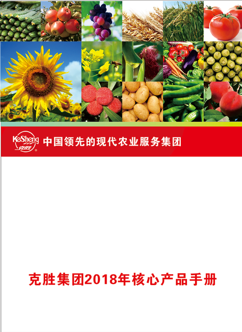 克胜集团2018年核心产品手册