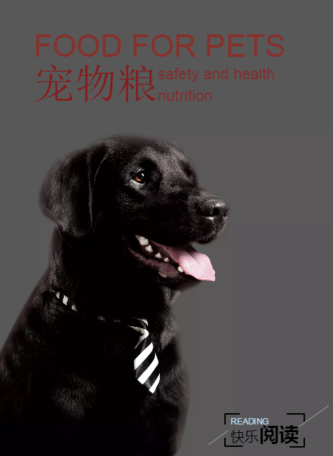 澳美滋宠物食品宣传册