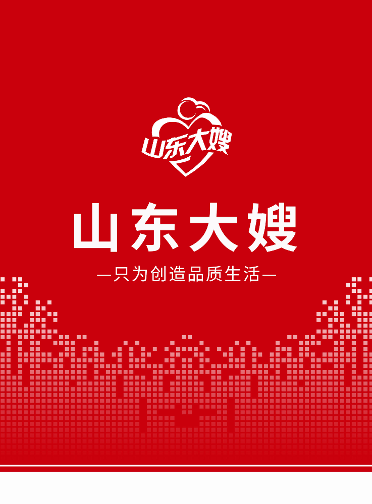 山东大嫂家庭服务有限公司