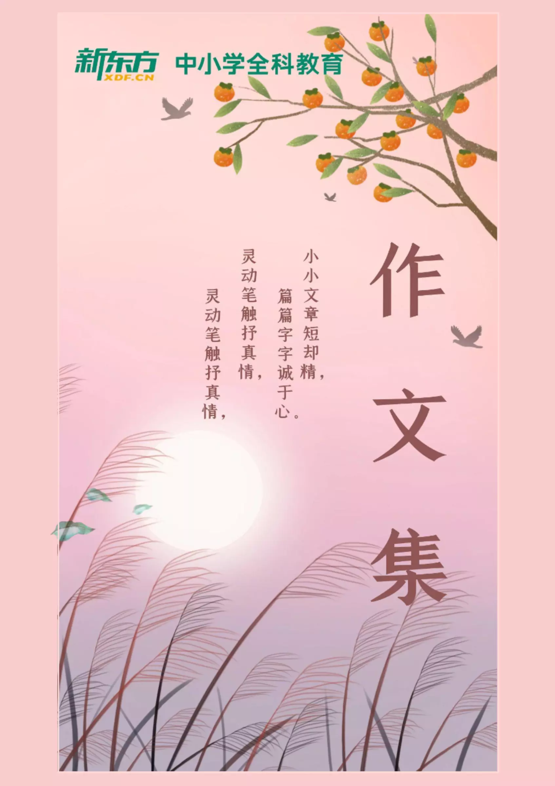 小学语文优秀作文集-三、四年级