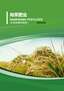 大连向荣肥业-水稻