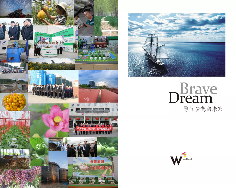 未来能源宣传画册