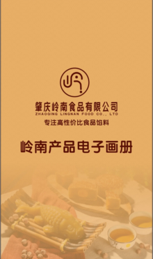 岭南食品电子宣传册