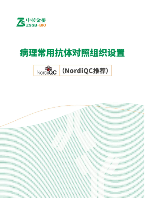 病理常用抗体对照组织设置-NordiQC推荐