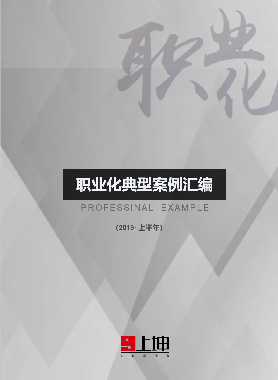 上坤·职业化典型案例汇编（2019年上半年刊）