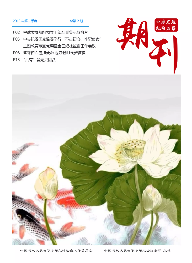 中建发展纪检监察期刊（2019年第2期）