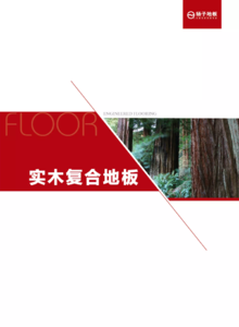 实木复合地板—产品画册