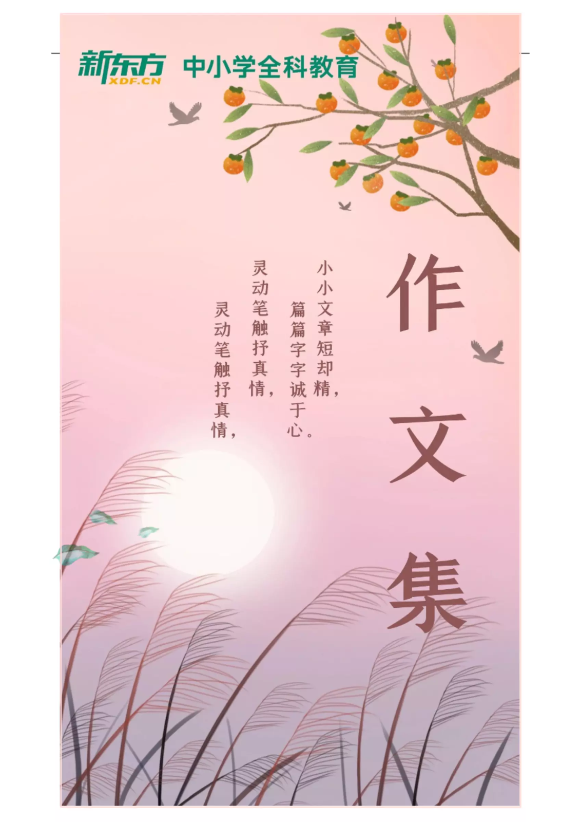 小学语文校本优秀作文集-三、四年级