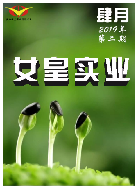 女皇实业内刊-2019年第二期