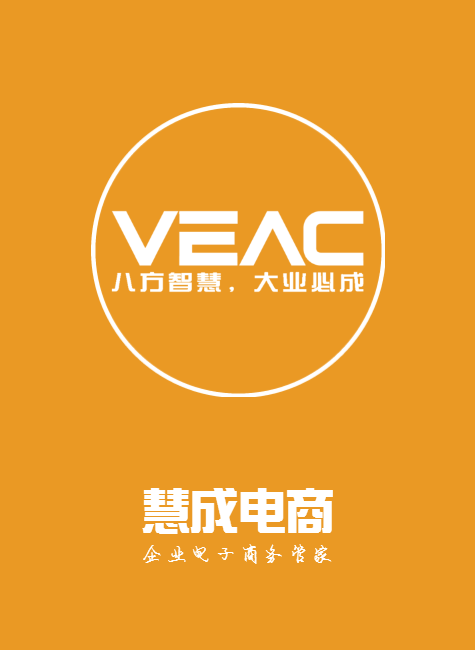 慧成电商春季版