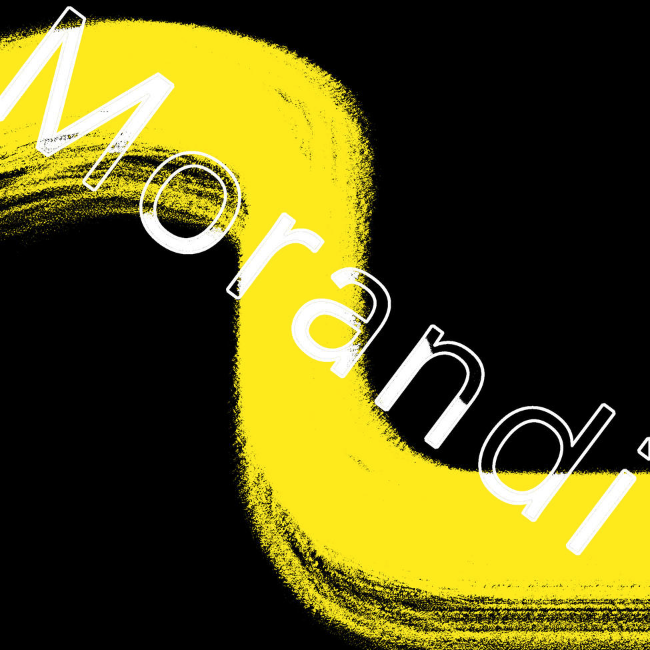 莫兰迪装饰画宣传册