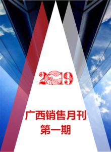 广西销售月刊第01期——2019捷信领跑