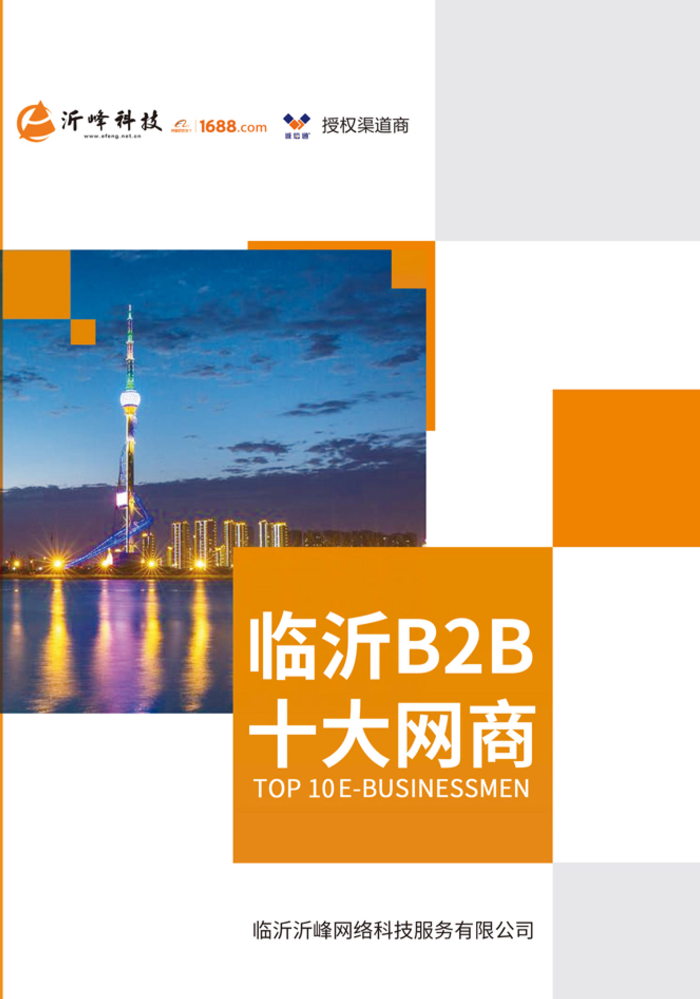 临沂B2B十大网商纪念册2019第一版