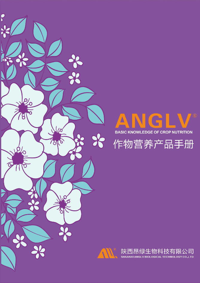 ANGLV宣传画册