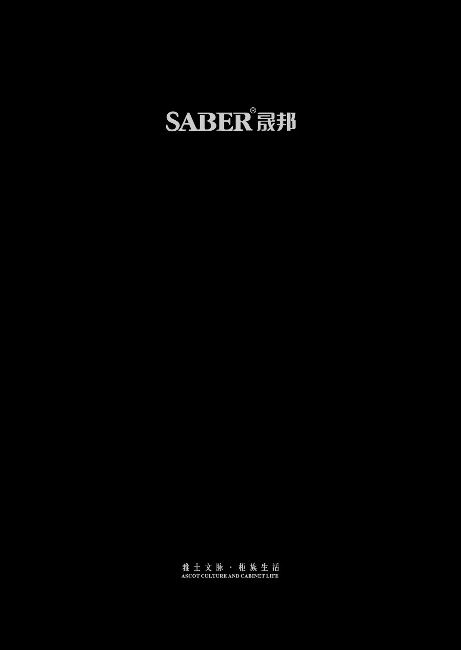 晟邦-saber