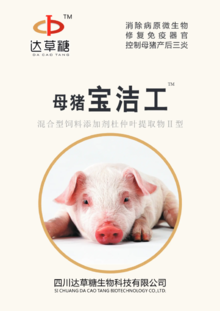 母猪宝洁工宣传册