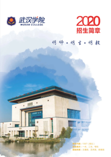 武汉学院2020年招生简章