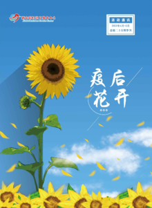 彩虹社工中心（2020第二季度季刊）