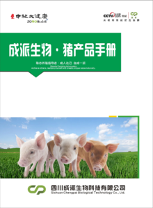 成派生物·猪产品手册