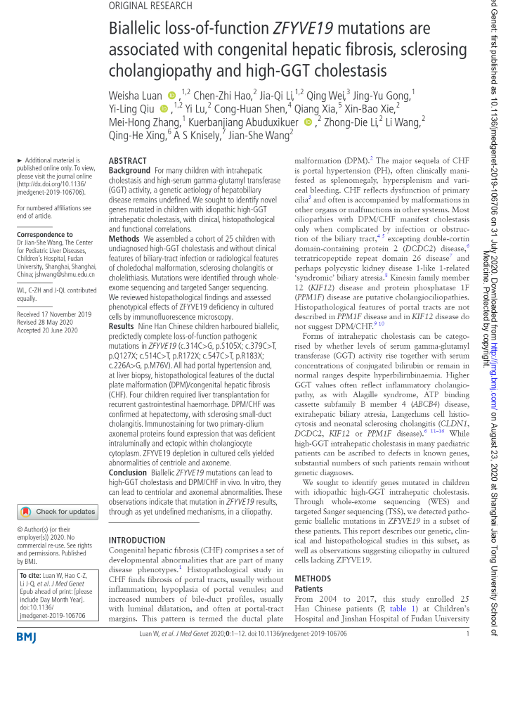 双等位基因功能丧失的ZFYVE19突变与先天性肝纤维化，硬化性胆管病和高GGT胆汁淤积症有关