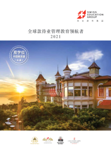 SEG官方中文册子 2021