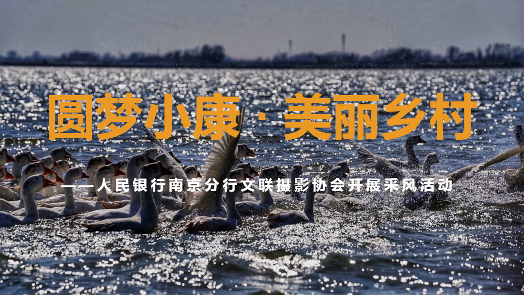 南京分行文联开展 “圆梦小康·美丽乡村”摄影采风活动