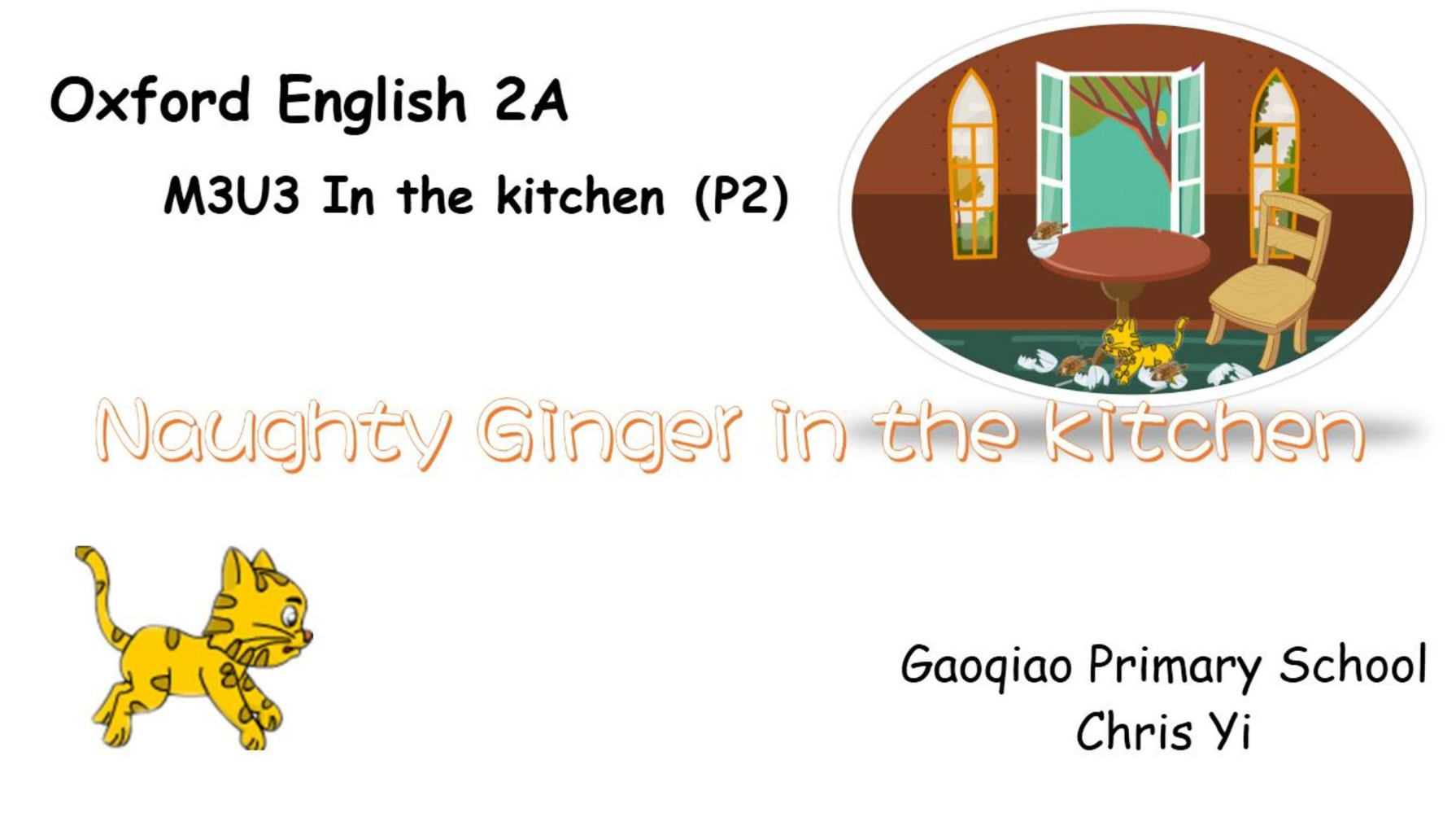 Naughty Ginger in the kitchen