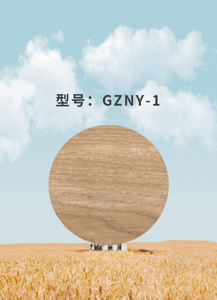 GZNY-1